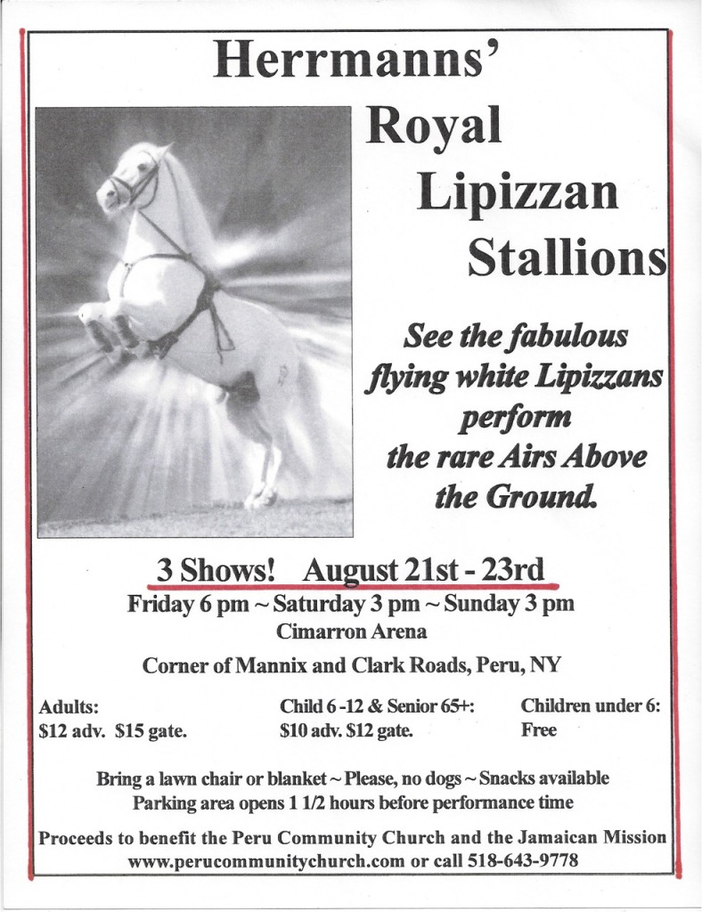 Royal Lippizan Stallions