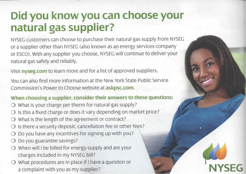 Energy Supplier Choice