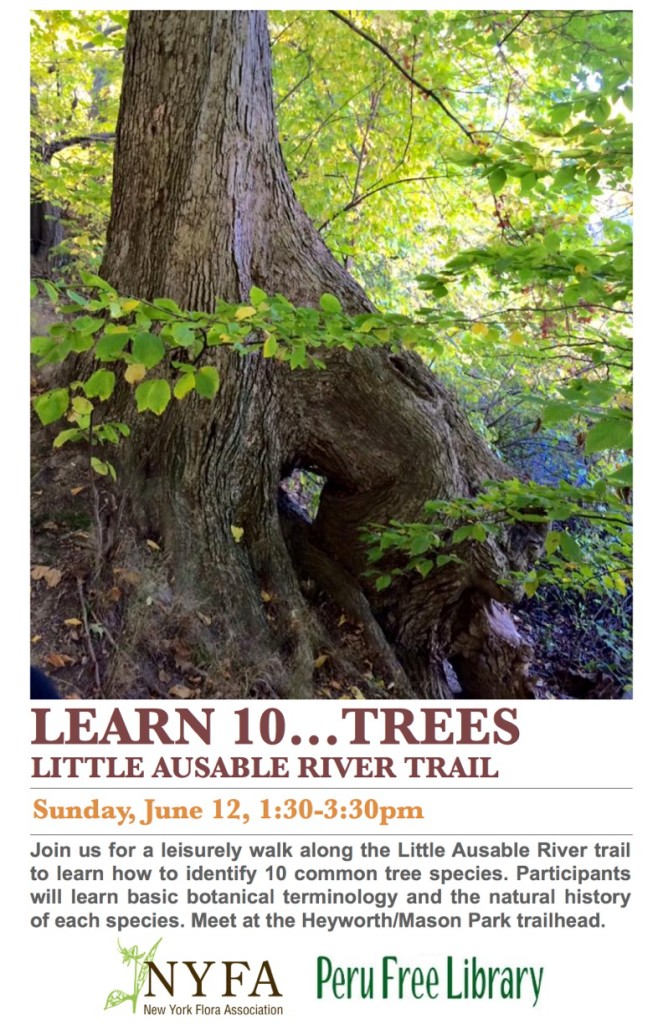 Learn 10 Trees