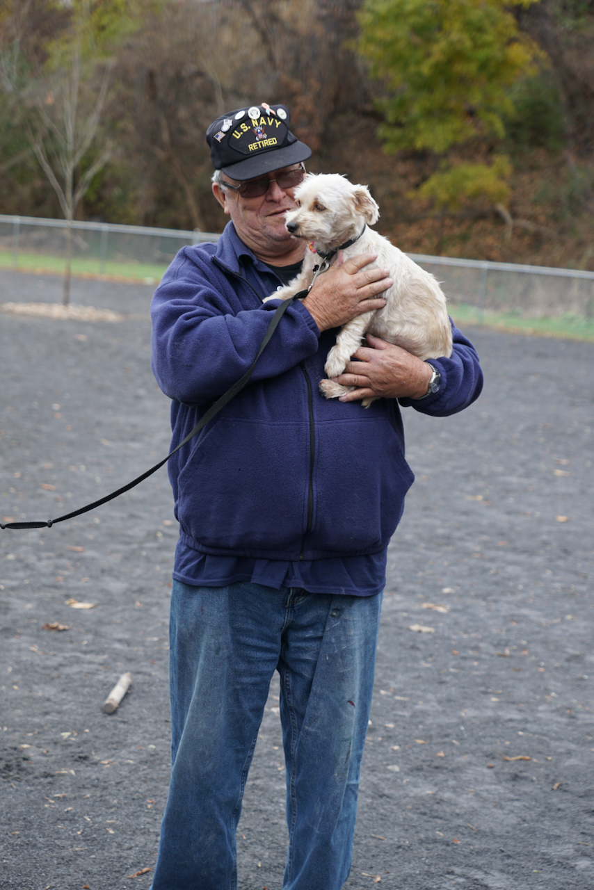 Dog Control Officer Resigns The Peru Gazette